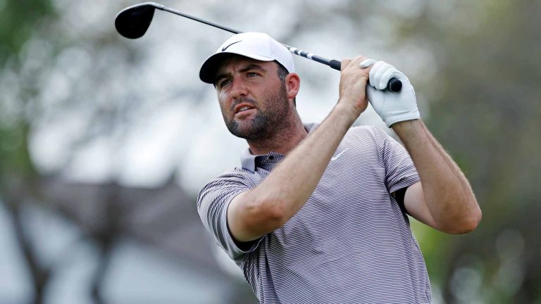 4 picks our expert loves